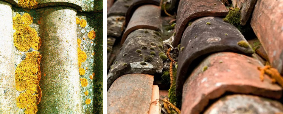 Espace Façades, nettoyage, traitement et rénovation de toiture