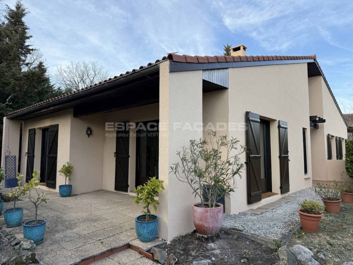 Maison avec volets noirs et plantes en pot