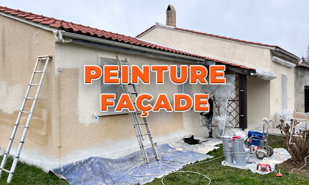 Peinture pour façade/Peinture murale